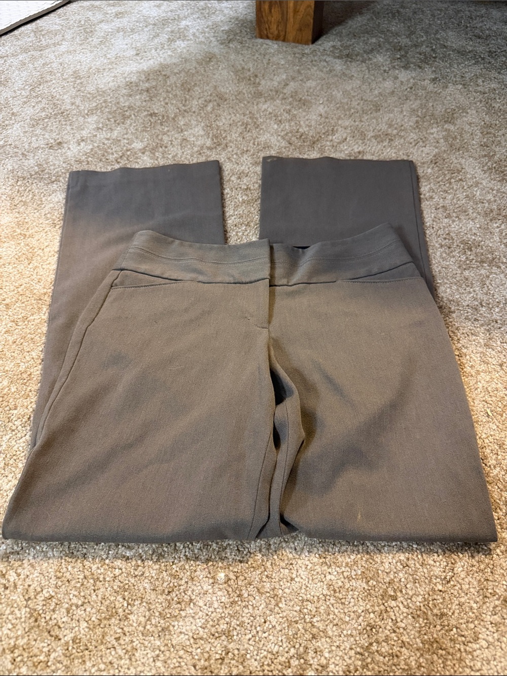 Express Boot-Cut Pants in Taupe Gray